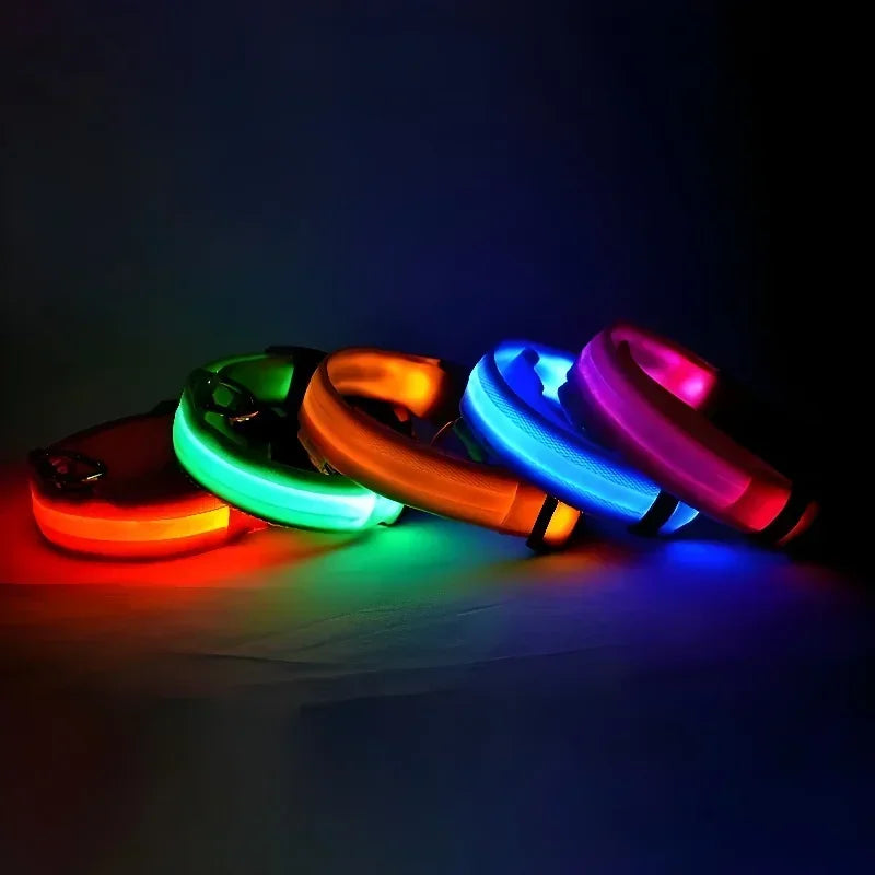 LED Rechargeable Dog Collar | Glow-in-the-Dark Safety Collar for Night Walks
