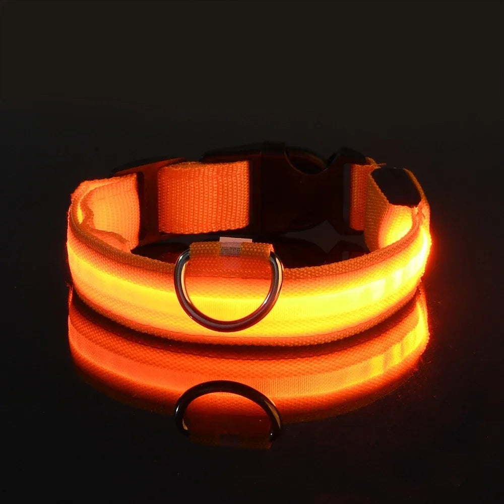LED Rechargeable Dog Collar | Glow-in-the-Dark Safety Collar for Night Walks