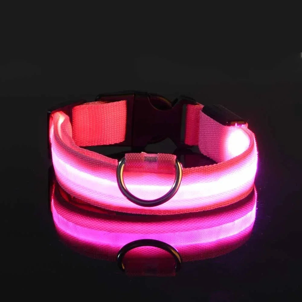 LED Rechargeable Dog Collar | Glow-in-the-Dark Safety Collar for Night Walks