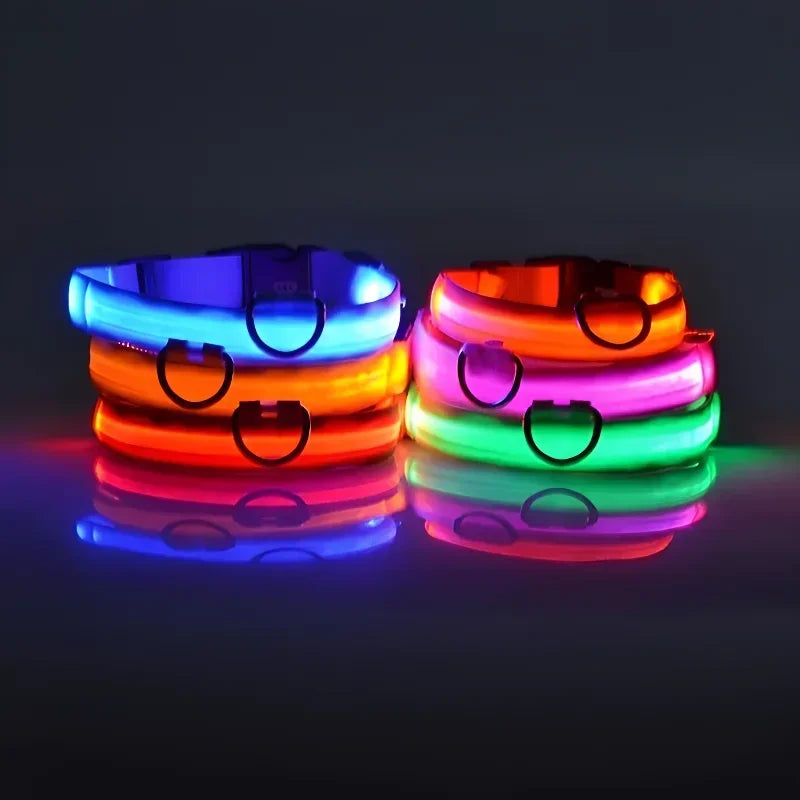 LED Rechargeable Dog Collar | Glow-in-the-Dark Safety Collar for Night Walks