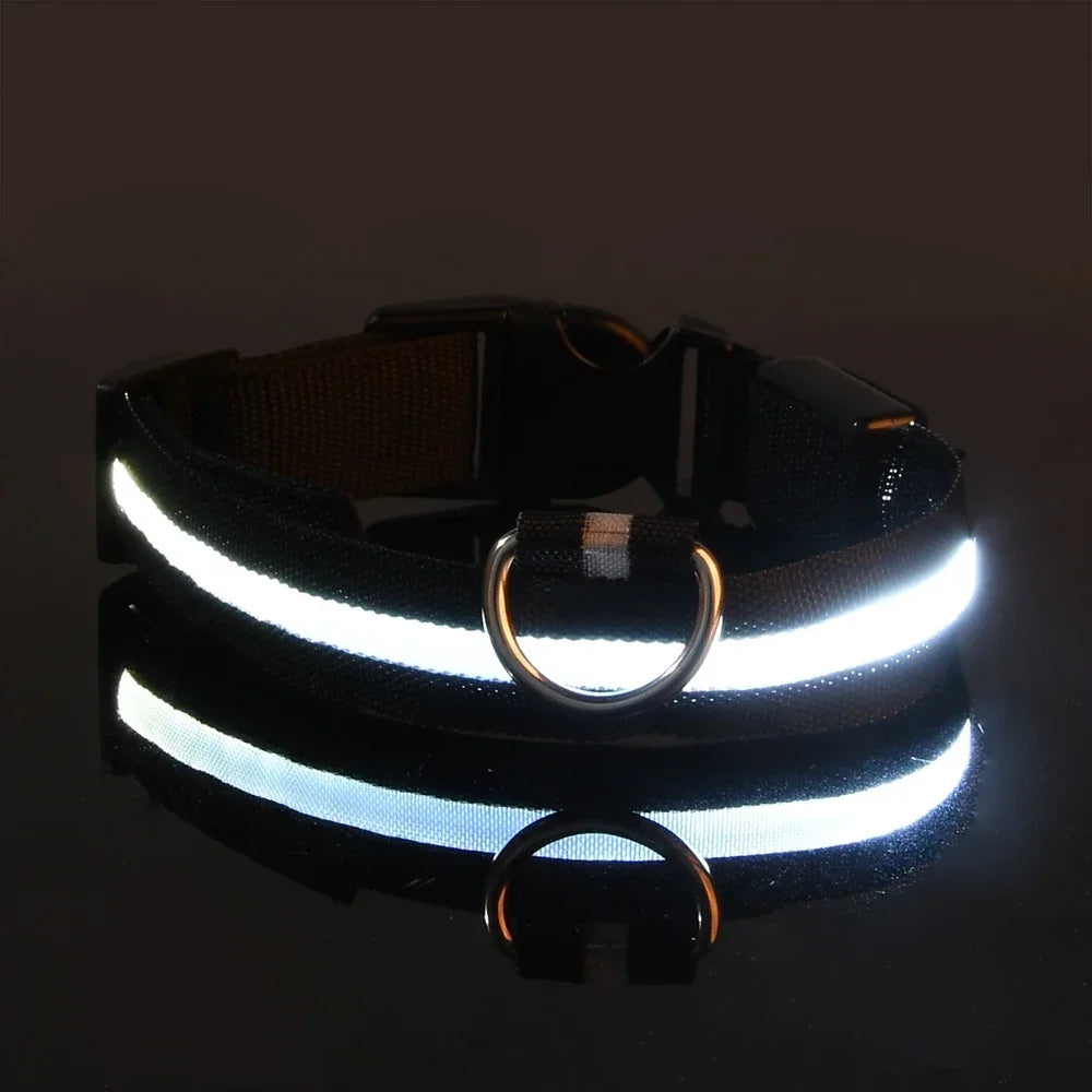 LED Rechargeable Dog Collar | Glow-in-the-Dark Safety Collar for Night Walks
