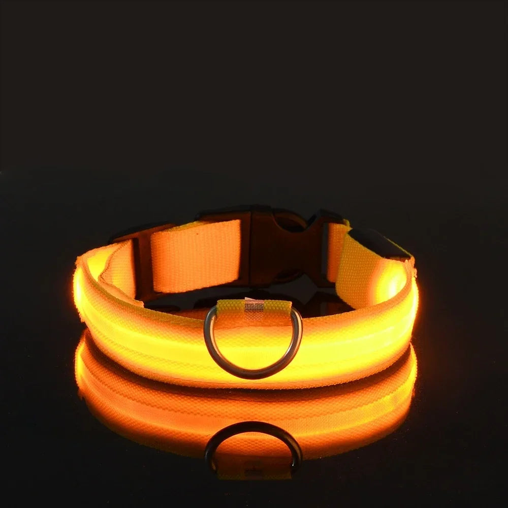 LED Rechargeable Dog Collar | Glow-in-the-Dark Safety Collar for Night Walks