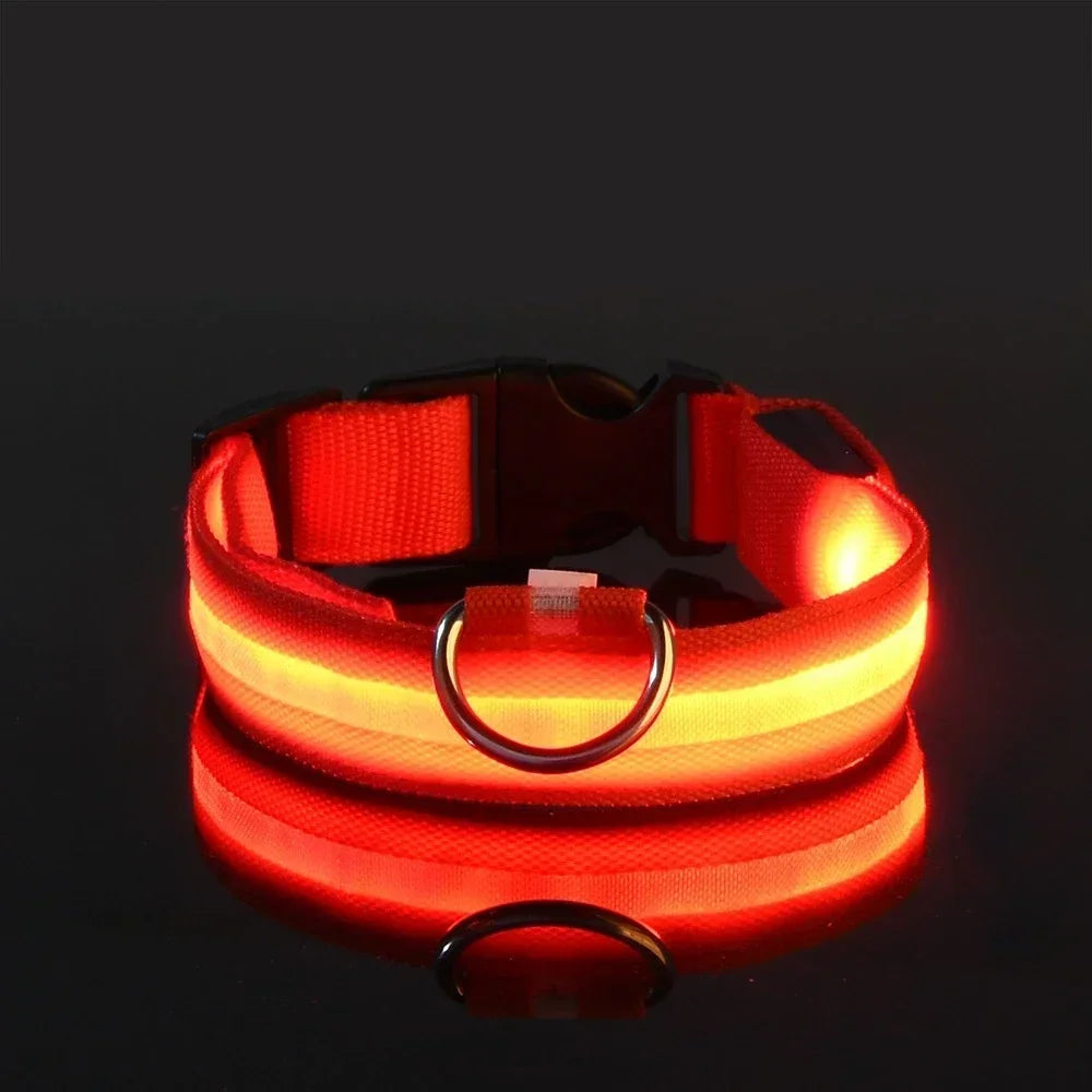 LED Rechargeable Dog Collar | Glow-in-the-Dark Safety Collar for Night Walks