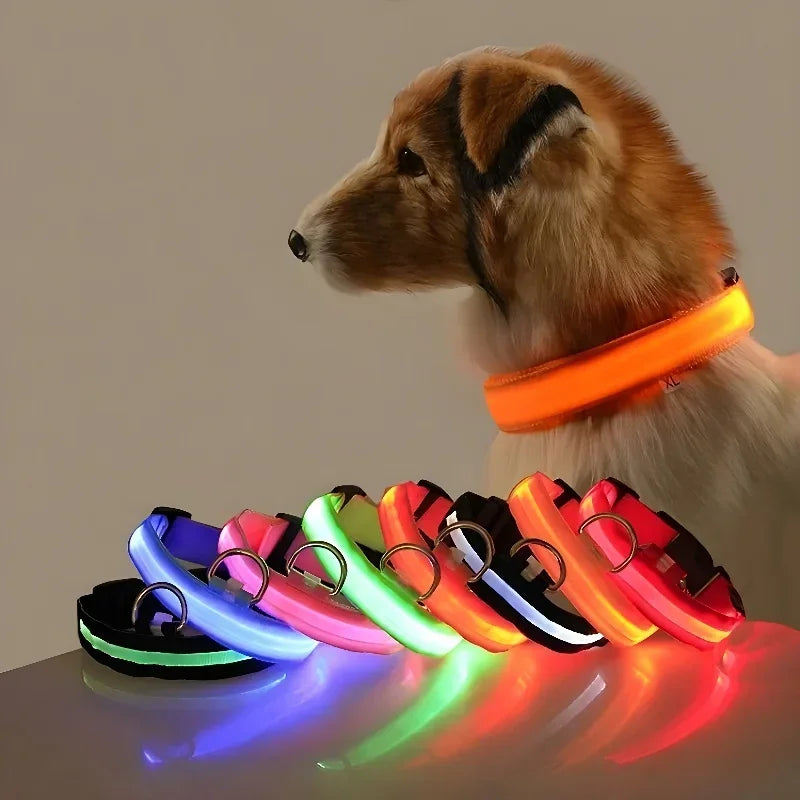 LED Rechargeable Dog Collar | Glow-in-the-Dark Safety Collar for Night Walks