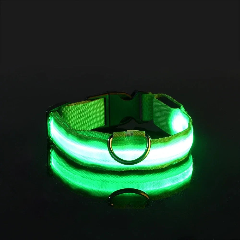 LED Rechargeable Dog Collar | Glow-in-the-Dark Safety Collar for Night Walks